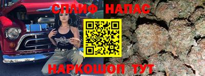 мдпв Можга