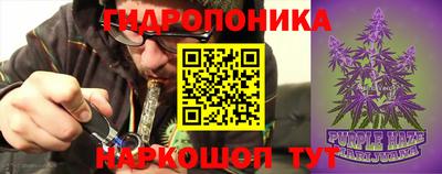 мдпв Можга
