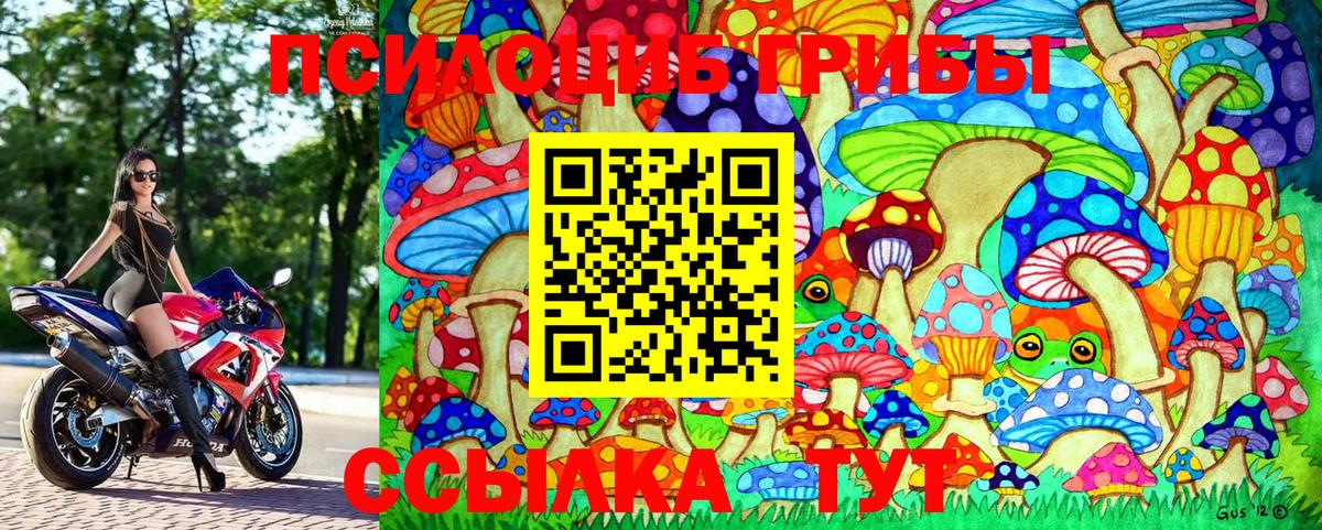 Псилоцибиновые грибы Cubensis Шарыпово
