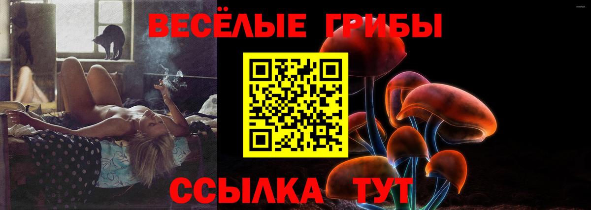 Галлюциногенные грибы прущие грибы  Вход с VPN  Шарыпово 